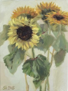 2015-sunflowers